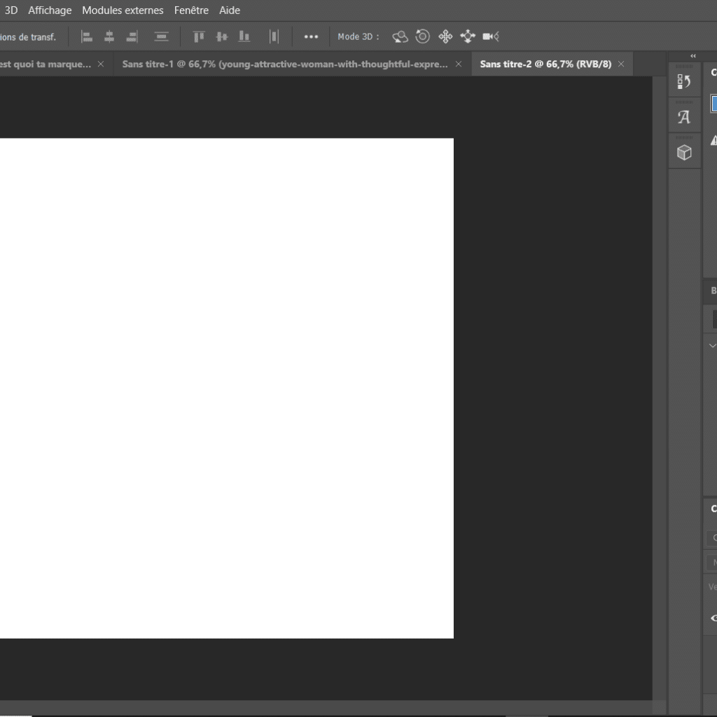 Supprimer l'arrière plan d'une image est réalisable sur Photoshop